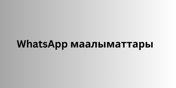 WhatsApp маалыматтары